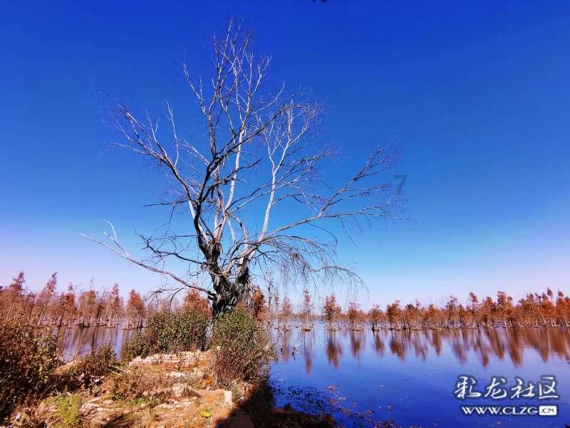美发沙龙设计师