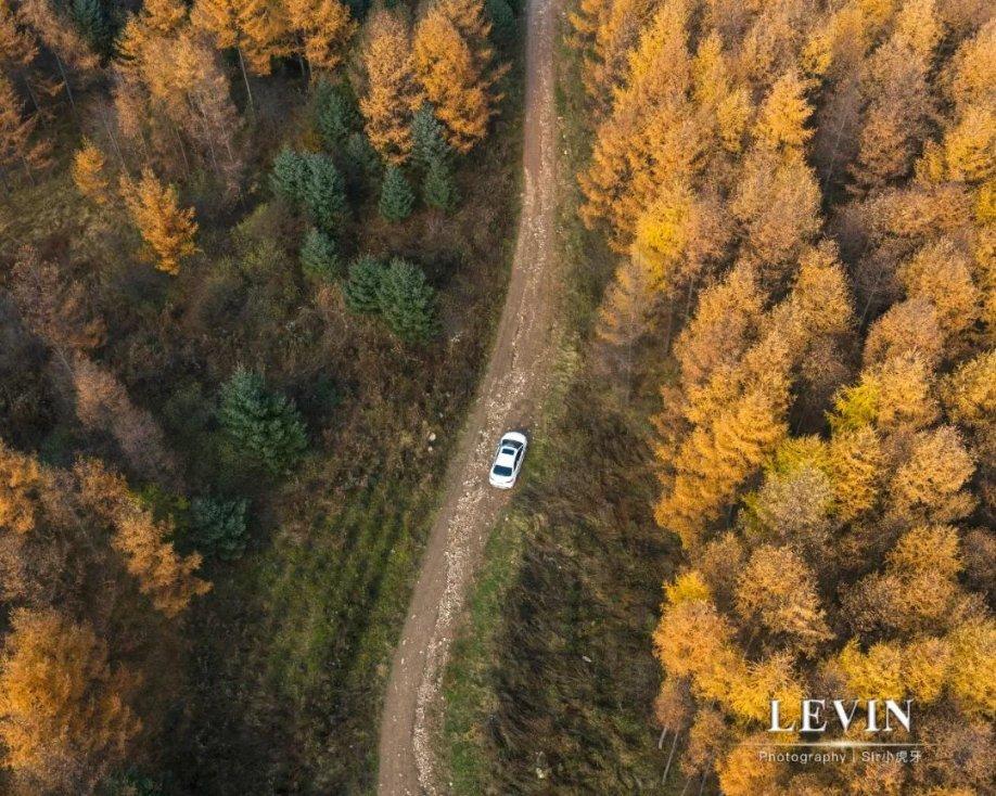 沙漠赛道驾驶