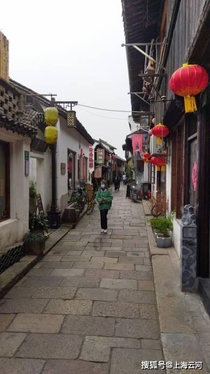 金刚鹦鹉逃生